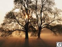 Votre photos principale