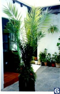 Votre photos principale