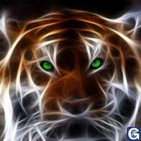 Votre photos principale