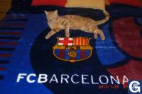 Votre photos principale