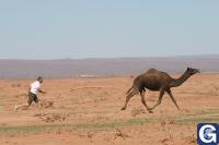 Votre photos principale