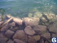 Votre photos principale