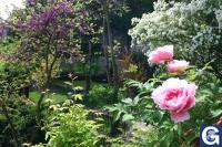 Votre photos principale