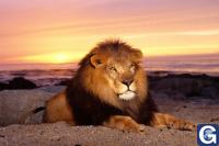 Votre photos principale