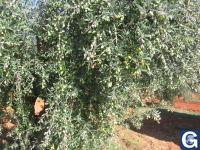 Votre photos principale