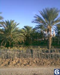 Votre photos principale