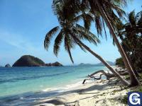 Votre photos principale