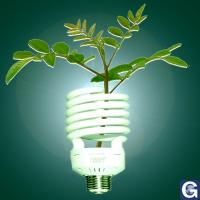 Votre photos principale