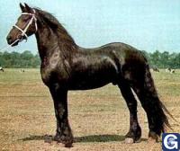 Votre photos principale