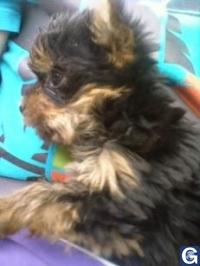 Votre photos principale