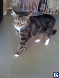 Votre photos principale