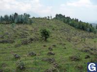 Votre photos principale