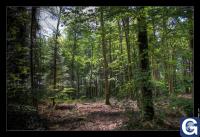 Votre photos principale