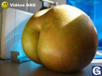 Votre photos principale