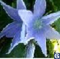 Votre photos principale