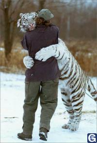 Votre photos principale