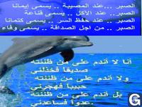 Votre photos principale