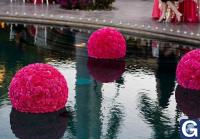 Votre photos principale