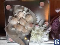 Votre photos principale