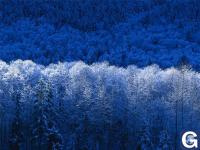 Votre photos principale