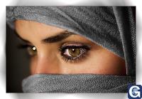 Votre photos principale