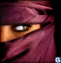 Votre photos principale