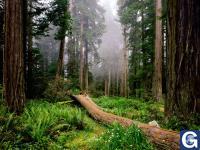 Votre photos principale