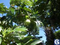 Votre photos principale