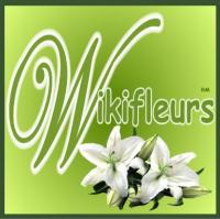 Votre photos principale