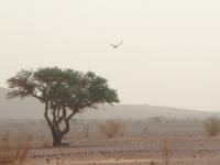 Votre photos principale