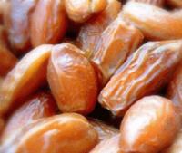 Votre photos principale