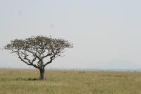 Votre photos principale