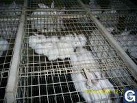 Votre photos principale