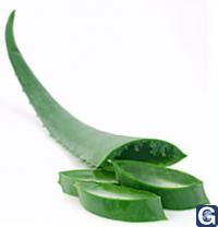 Votre photos principale