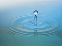 Votre photos principale